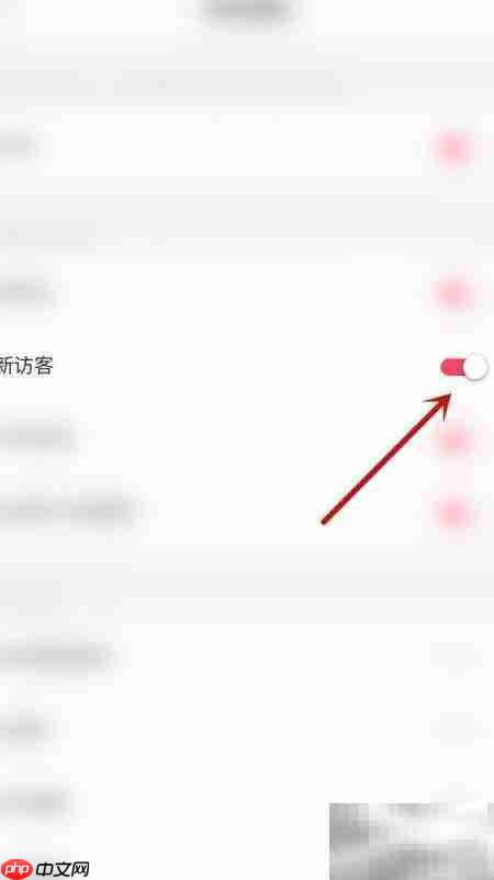 启用约友新访客通知方法