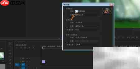 PR多画面显示技巧
