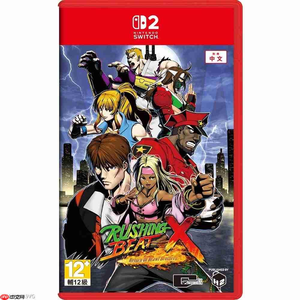 《快打刑事 X:暴虐兄弟》PS5/Switch2繁体中文版今日发售