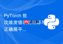 PyTorch 批次维度错误的根源与正确展平策略