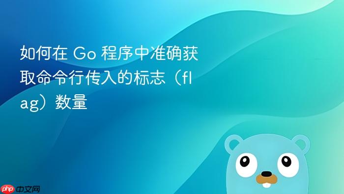 如何在 Go 程序中准确获取命令行传入的标志(flag)数量