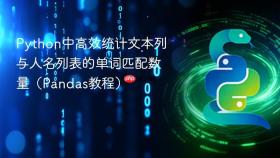 Python中高效统计文本列与人名列表的单词匹配数量（Pandas教程）
