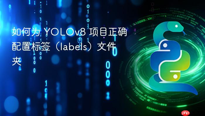 如何为 YOLOv8 项目正确配置标签(labels)文件夹