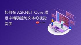 如何在 ASP.NET Core 项目中精确控制文本的视觉宽度