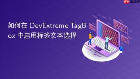 如何在 DevExtreme TagBox 中启用标签文本选择