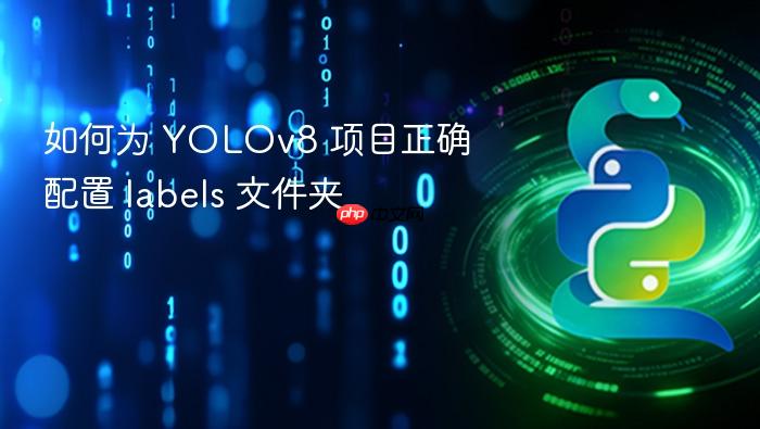 如何为 YOLOv8 项目正确配置 labels 文件夹