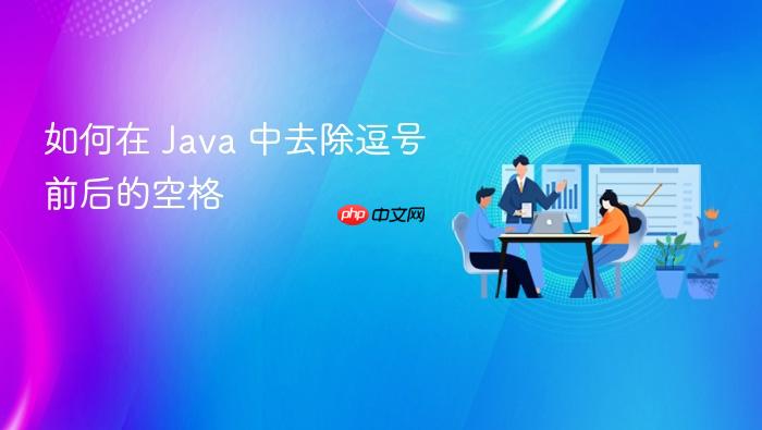 如何在 Java 中去除逗号前后的空格