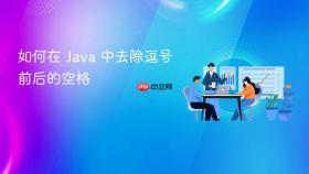 如何在 Java 中去除逗号前后的空格
