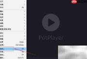 PotPlayer关闭AC3转trueHD