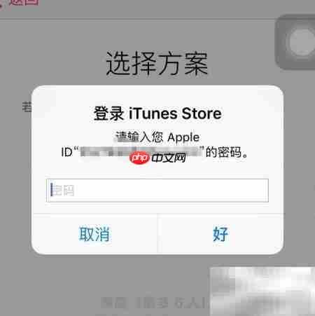 Apple Music开通使用指南