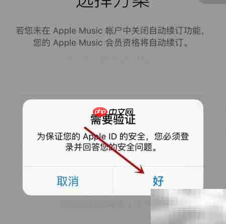 Apple Music开通使用指南