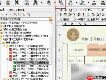 安徽版资料套打打印指南