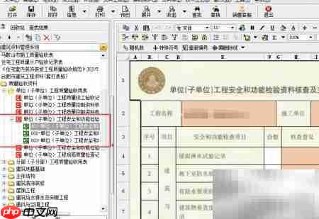 安徽版资料套打打印指南