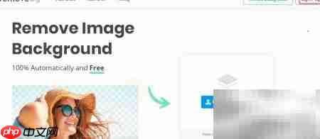 获取removbg API密钥指南