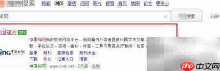 知网查询专业词汇技巧