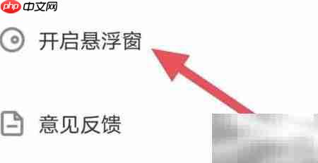 思雨教你开启悬浮窗技巧