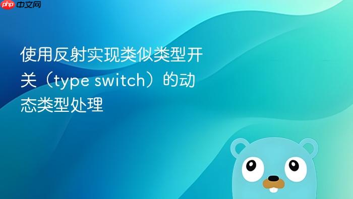 使用反射实现类似类型开关（type switch）的动态类型处理
