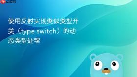 使用反射实现类似类型开关（type switch）的动态类型处理
