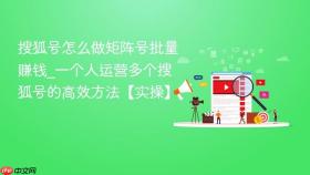 搜狐号怎么做矩阵号批量赚钱_一个人运营多个搜狐号的高效方法【实操】