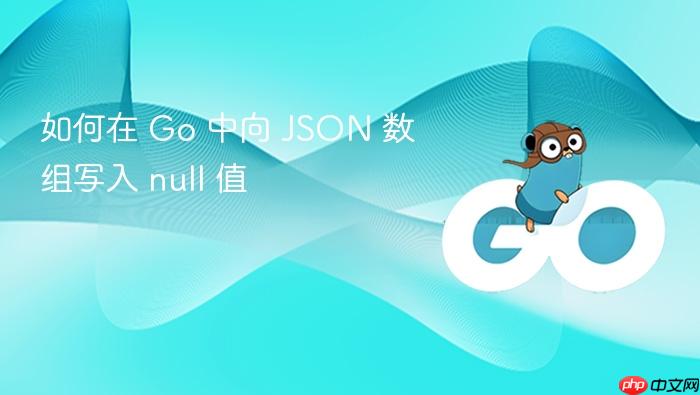 如何在 Go 中向 JSON 数组写入 null 值
