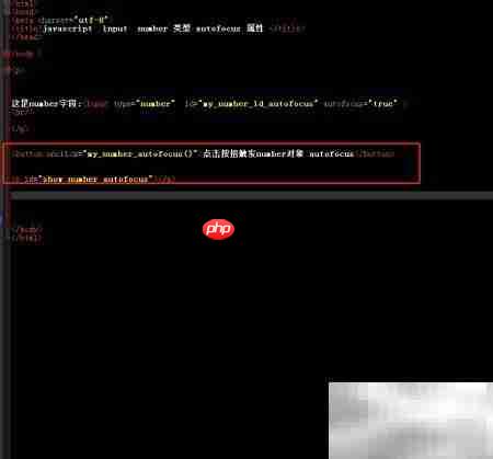 Number对象使用autofocus方法解析