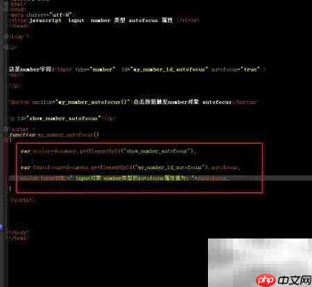 Number对象使用autofocus方法解析
