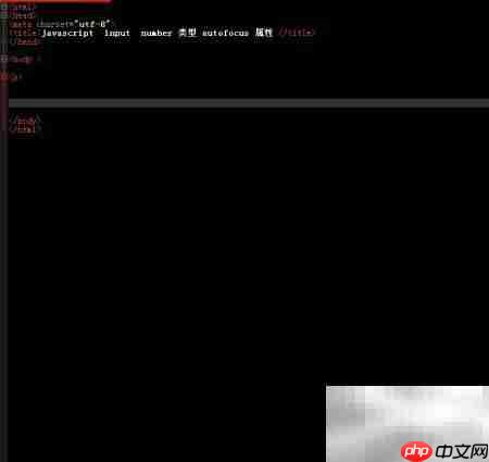 Number对象使用autofocus方法解析