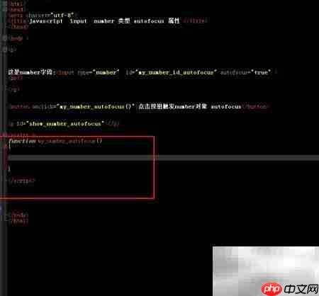 Number对象使用autofocus方法解析