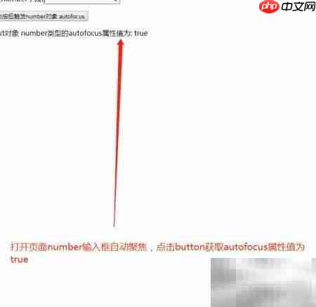 Number对象使用autofocus方法解析