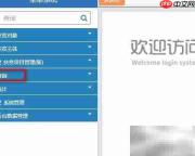 全国扶贫系统查贫困村