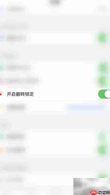 PDF Pro翻转锁定开关方法
