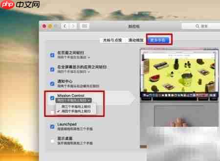 Mac虚拟桌面使用技巧