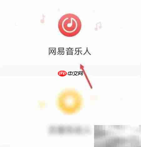 如何加入网易音乐人