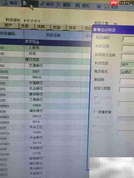财务软件新增会计科目指南