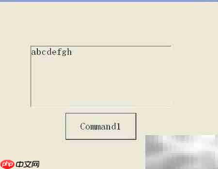 VB字母大小写转换技巧