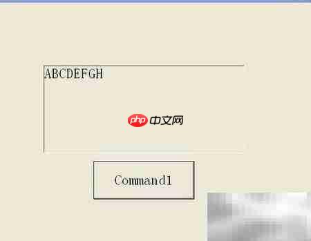 VB字母大小写转换技巧