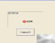 VB字母大小写转换技巧