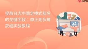 提取日志中固定模式前后的关键字段:单正则多捕获组实战教程