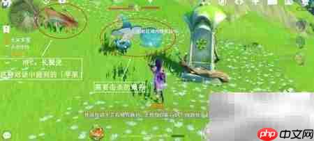 原神寻星之旅第七天通关攻略