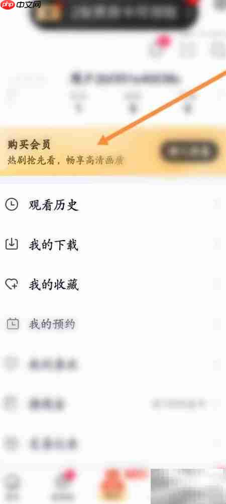 爱奇艺极速版取消自动续费方法