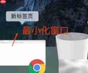DOCK栏功能详解