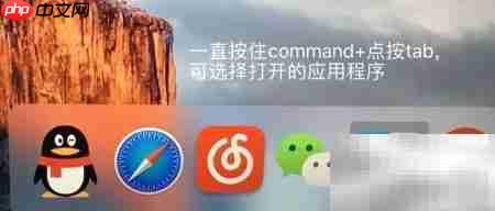 DOCK栏功能详解