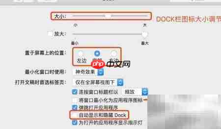 DOCK栏功能详解