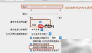 DOCK栏功能详解