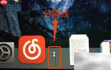 DOCK栏功能详解