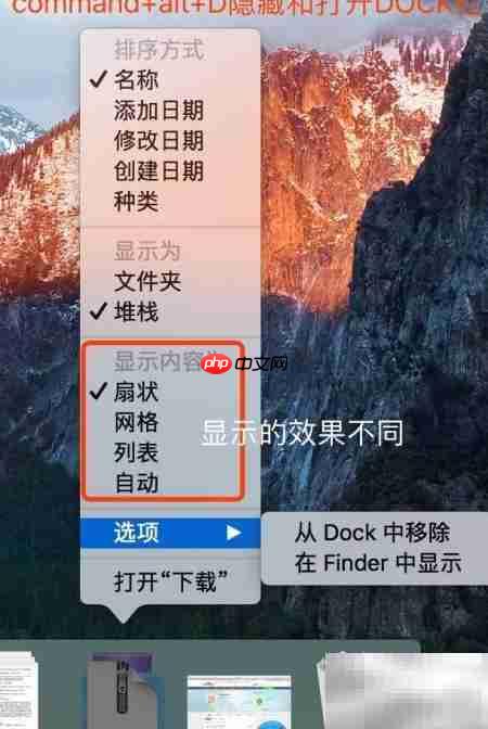 DOCK栏功能详解