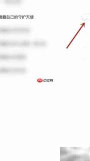 合合交友如何隐藏守护天使