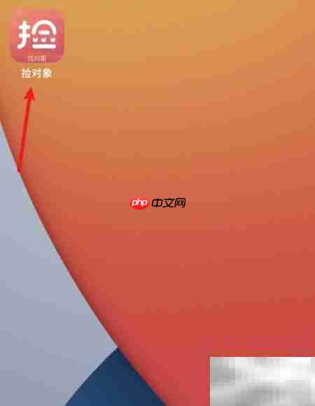 在线捡对象指南:轻松找到TA