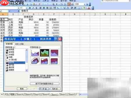 Excel透视图创建指南