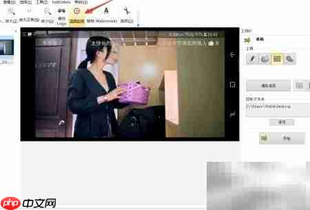 Remove Logo Now去水印时间选择技巧